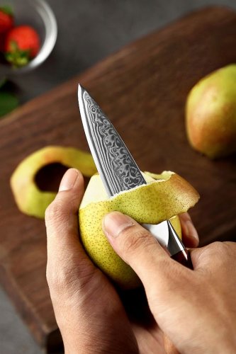 Vykrajovací nůž MASTER 3.5" o celkové délce 22 cm