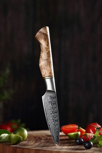 Vykrajovací nůž MASTER 3.5" o celkové délce 22 cm